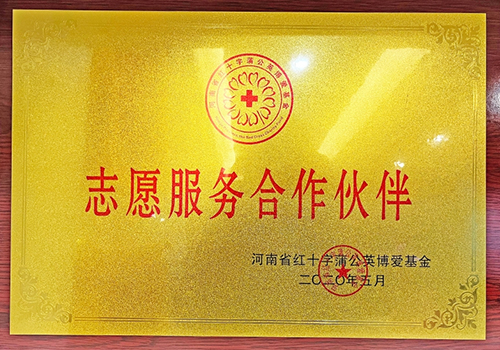 volunteer service partner